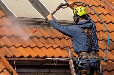 Démoussage et hydrofuge de toiture à Saint Antoine l'Abbaye